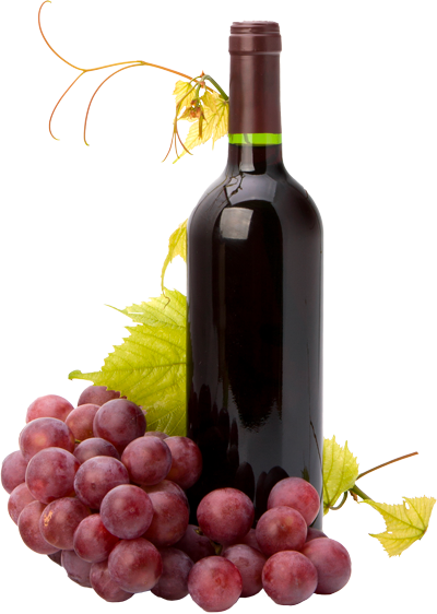 vino